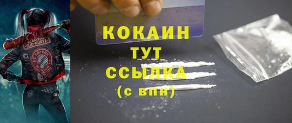 герыч Пересвет