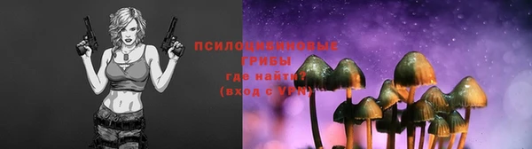 герыч Пересвет