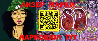 ALPHA PVP Гудермес